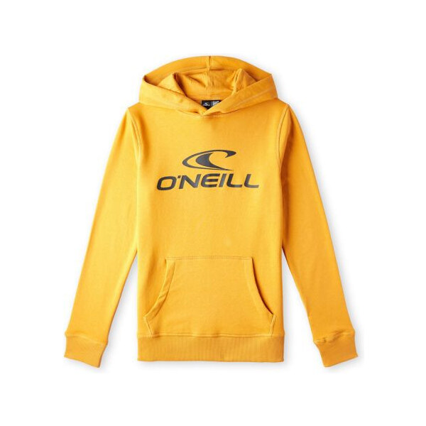 ONeill ONeill Logo Hoodie Jr 92800615006 51492371
