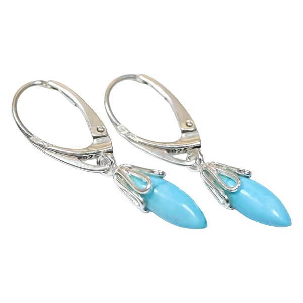 Strieborné náušnice Glare 413 51006803