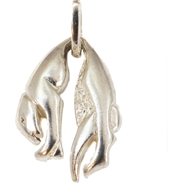 Strieborný prívesok Glare 34S 51006294