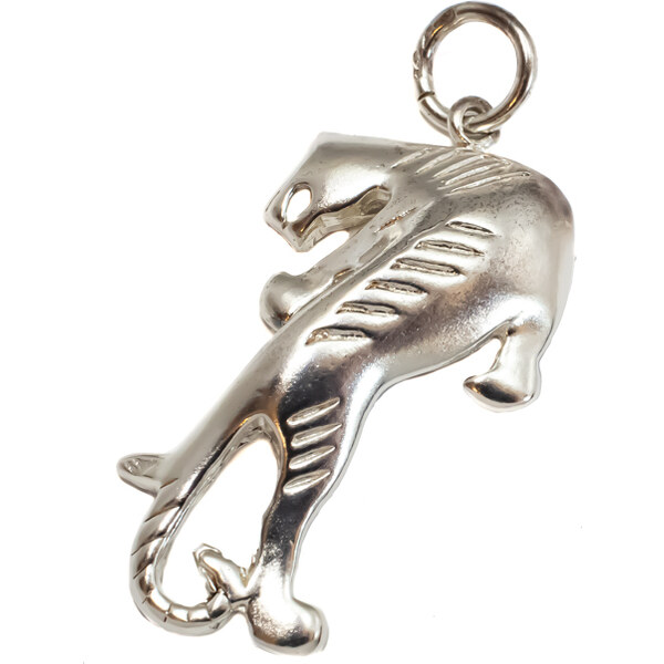 Strieborný prívesok Glare 76S 51006255