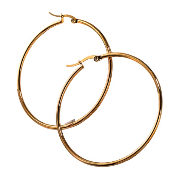 Oceľové náušnice Glare 282 51005639