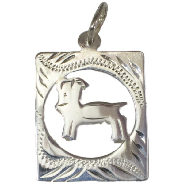 Strieborný prívesok Glare 408S 51005076