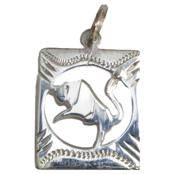 Strieborný prívesok Glare 414S 51005071