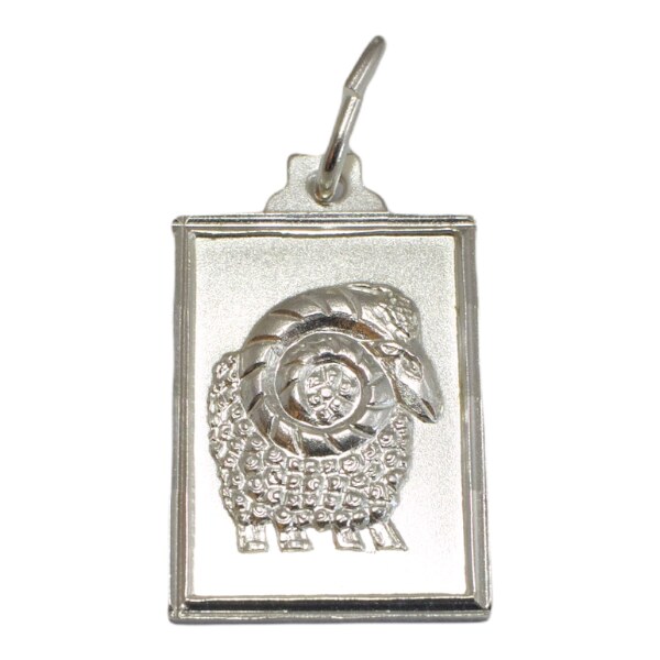 Strieborný prívesok Glare 245S 51005001