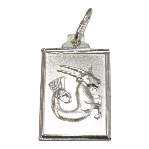 Strieborný prívesok Glare 246S 51005000