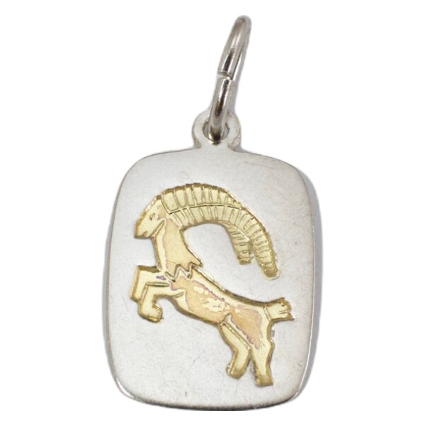 Strieborný prívesok Glare 249S 51004997