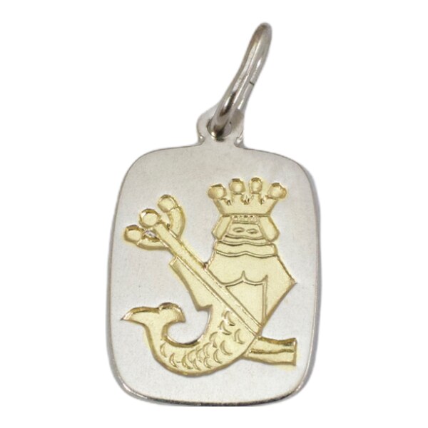 Strieborný prívesok Glare 250S 51004996