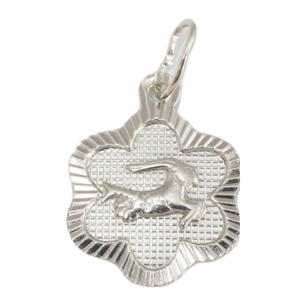 Strieborný prívesok Glare 252S 51004994