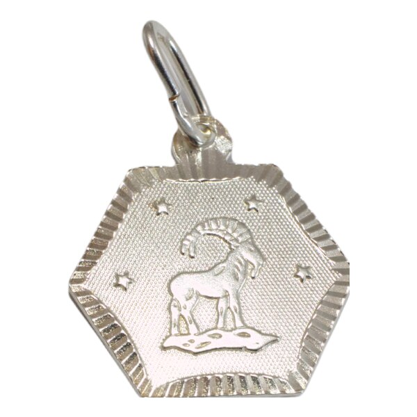 Strieborný prívesok Glare 254S 51004992