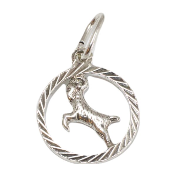 Strieborný prívesok Glare 277S 51004969