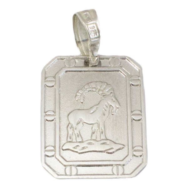 Strieborný prívesok Glare 273S 51004973