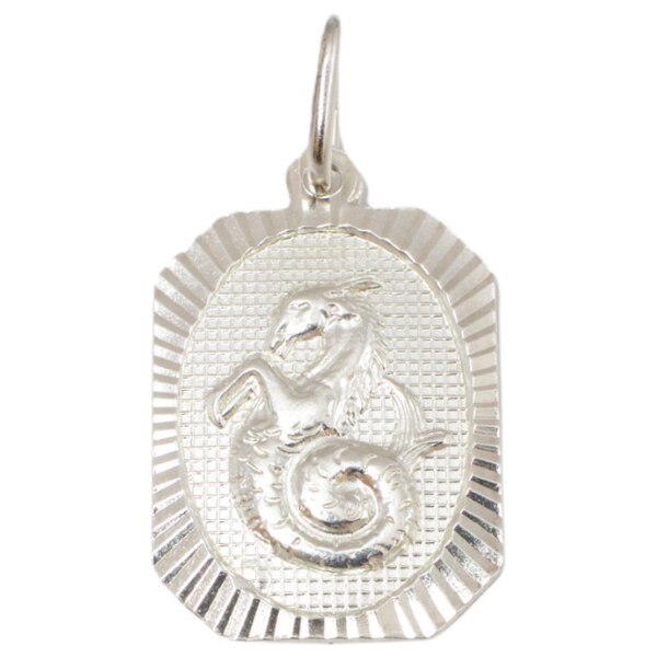 Strieborný prívesok Glare 290S 51004951