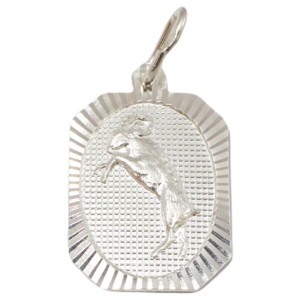 Strieborný prívesok Glare 291S 51004950