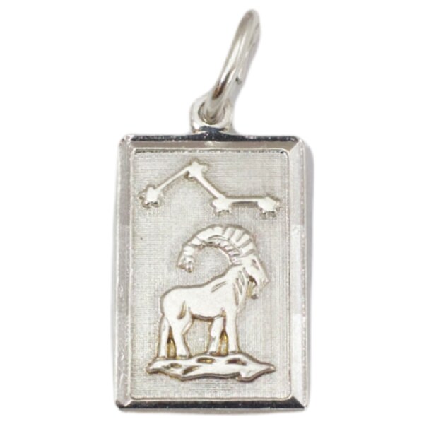 Strieborný prívesok Glare 300S 51004941