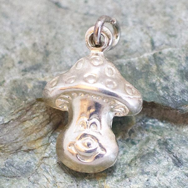 Strieborný prívesok Glare 322S 51004915