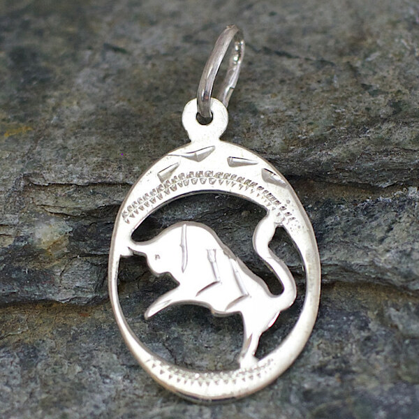 Strieborný prívesok Glare 388S 51004819