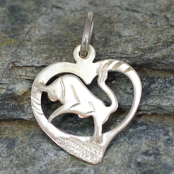 Strieborný prívesok Glare 419S 51004812