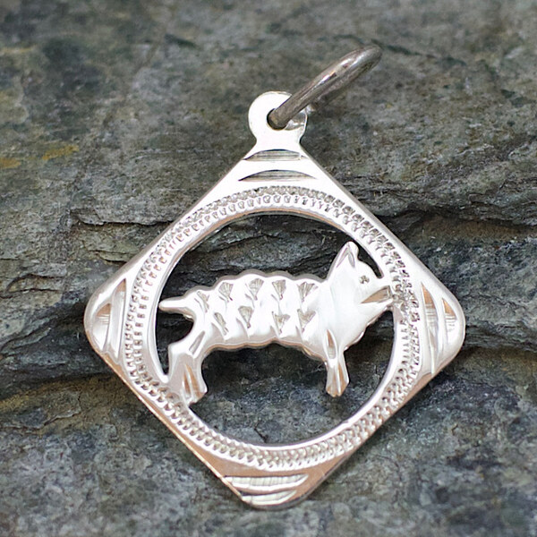 Strieborný prívesok Glare 380S 51004827