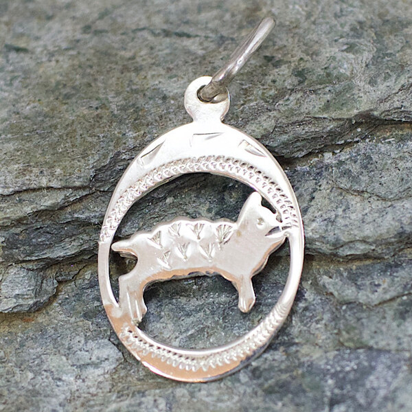 Strieborný prívesok Glare 383S 51004824