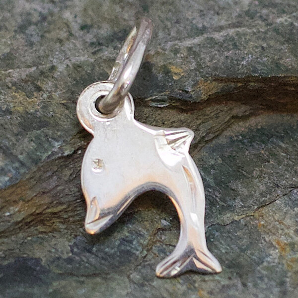 Strieborný prívesok Glare 359S 51004871