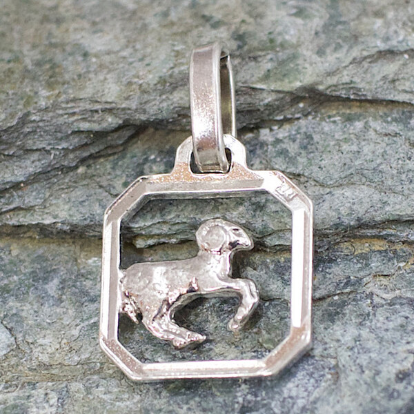 Strieborný prívesok Glare 426S 51004805