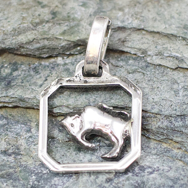 Strieborný prívesok Glare 427S 51004804