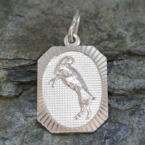 Strieborný prívesok Glare 431S 51004800