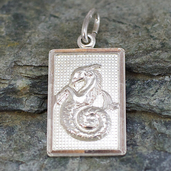 Strieborný prívesok Glare 440S 51004791