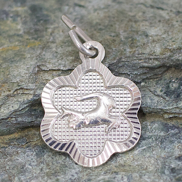 Strieborný prívesok Glare 441S 51004790