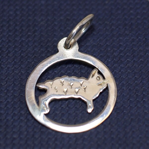 Strieborný prívesok Glare 468S 51004654