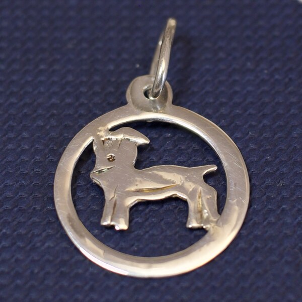 Strieborný prívesok Glare 466S 51004649