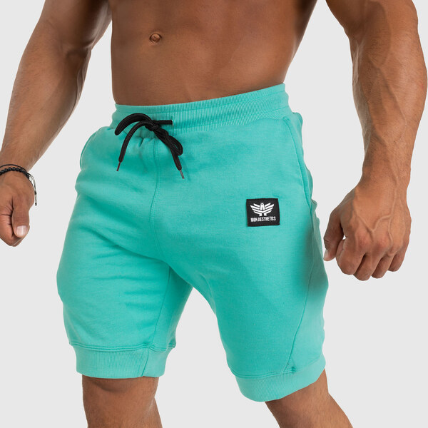 Pánske teplákové kraťasy Iron Aesthetics Badge, tyrkys 26163792
