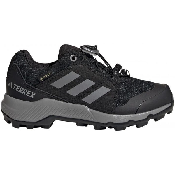 Topánky adidas Terrex GTX K Jr IF7519 57698281