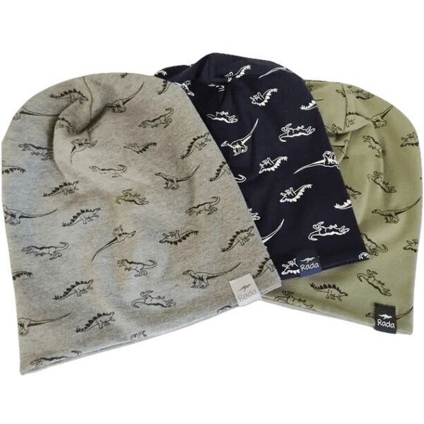 RADA Chlapčenská čiapka BEN Dino 46458239