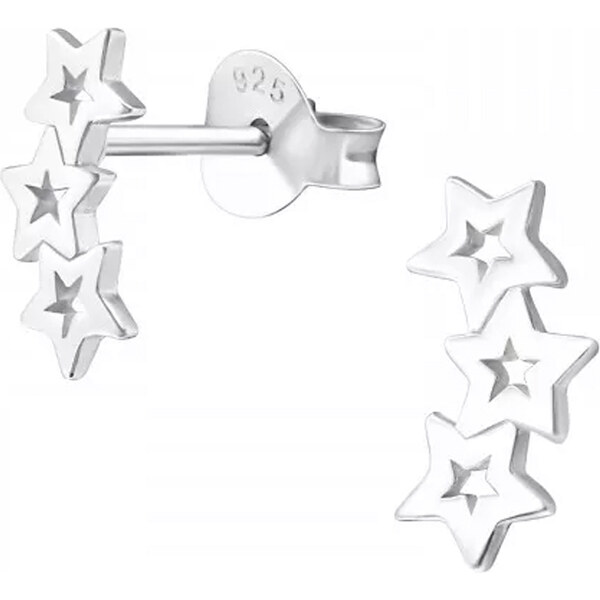 Dámske strieborné náušnice ASTERIA 53858674