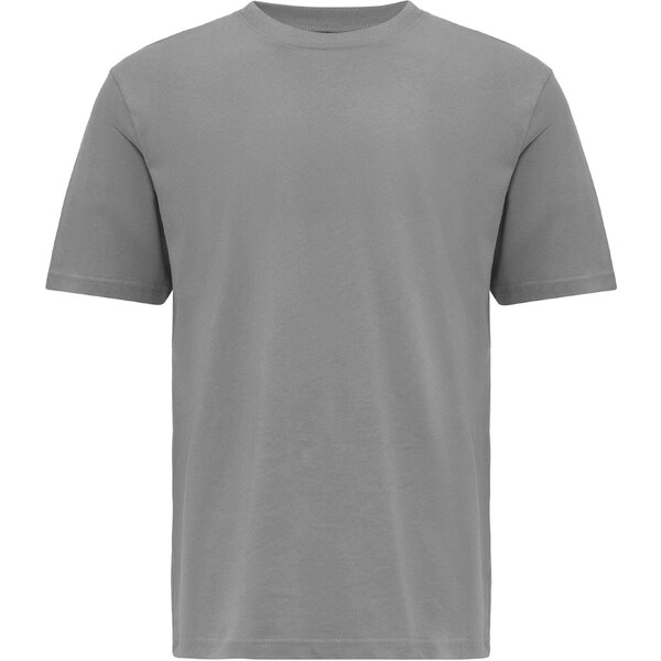 Antioch Tričko sivá 55410418