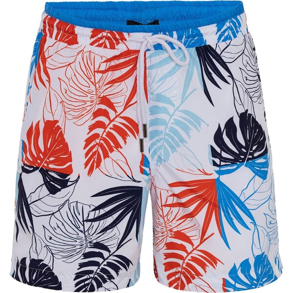 Daniel Hills Plavecké šortky modrá / námornícka modrá / červená / 55684699