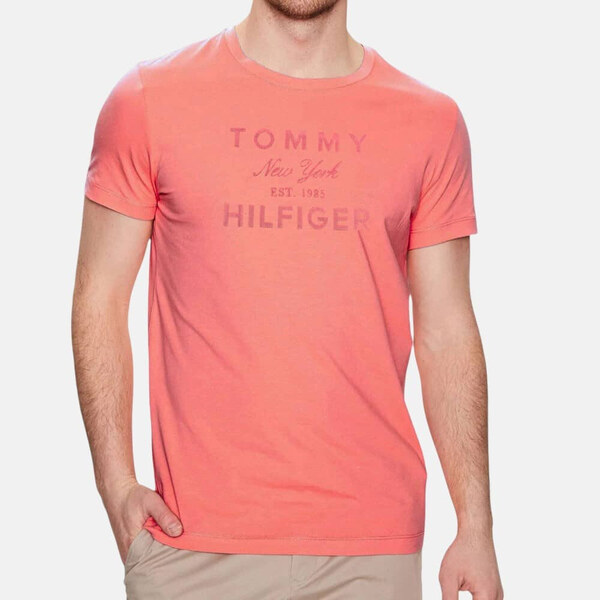 Pánské triko Tommy Hilfiger 55908 55598893