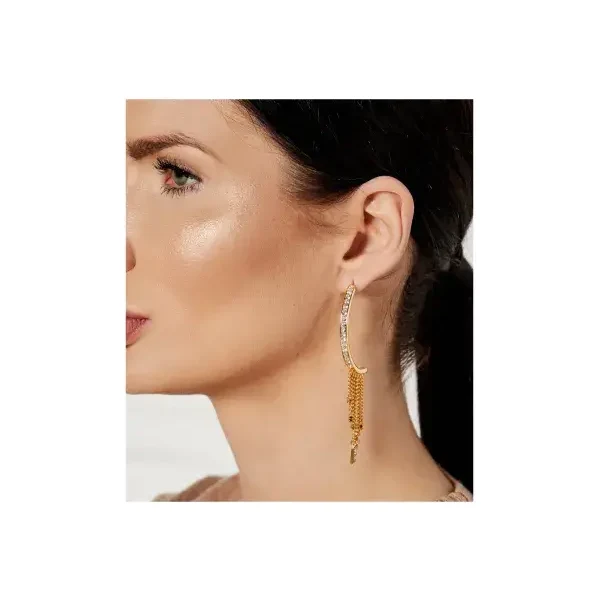 Elisabetta Franchi Náušnice 56221104