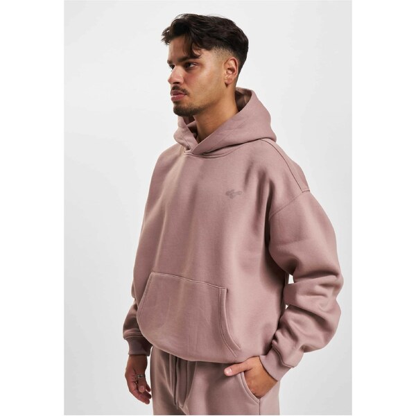 DEF Mens sweatshirt FRANK Hoody powder 56431870