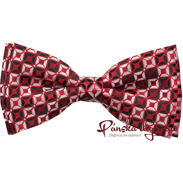 Motýlik s vreckovkou 56506289