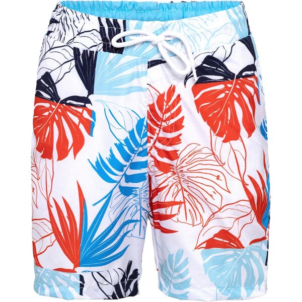 Daniel Hills Plavecké šortky svetlomodrá / tmavomodrá / červená / 56878055