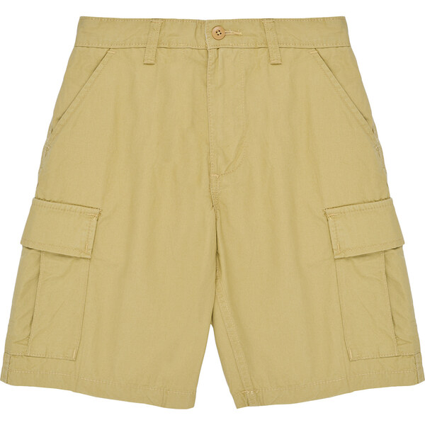 Vans Šortky/Bermudy SERVICE CARGO SHORT Vans 62499368