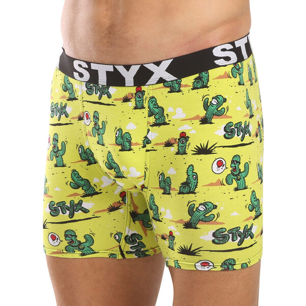 Pánske boxerky Styx long art športová guma kaktusy (UN1351) 57135727