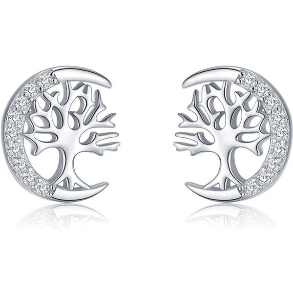 Dámske strieborné náušnice CALI 58311780