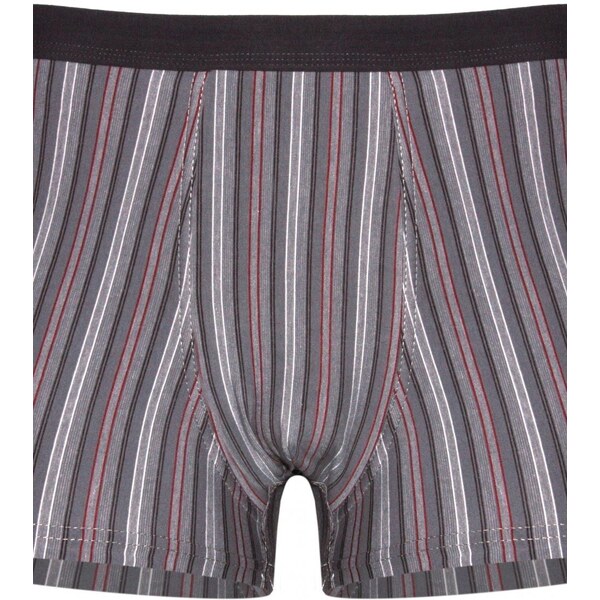 CORNETTE Pánske boxerky 233/85 Various perfect 58361789