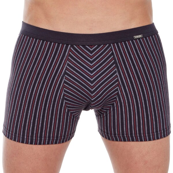 CORNETTE Pánske boxerky 228/135 Various perfect 58511462