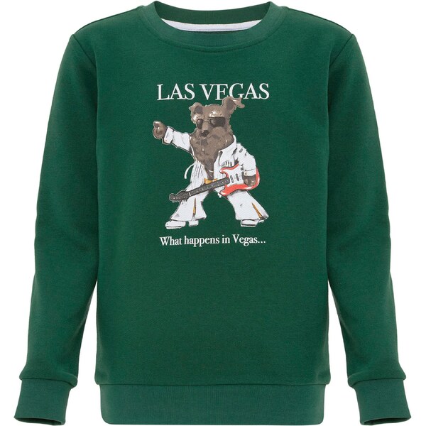 Williot Mikina zelená 59666340