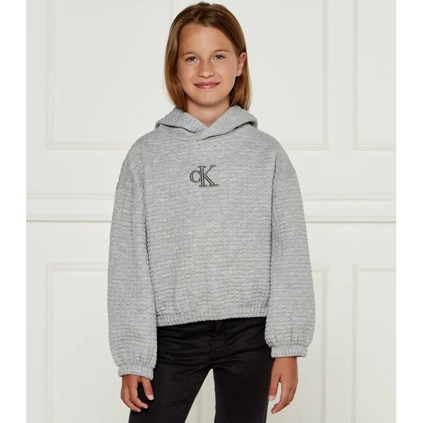 Calvin Klein Jeans Mikina | Regular Fit 59081370