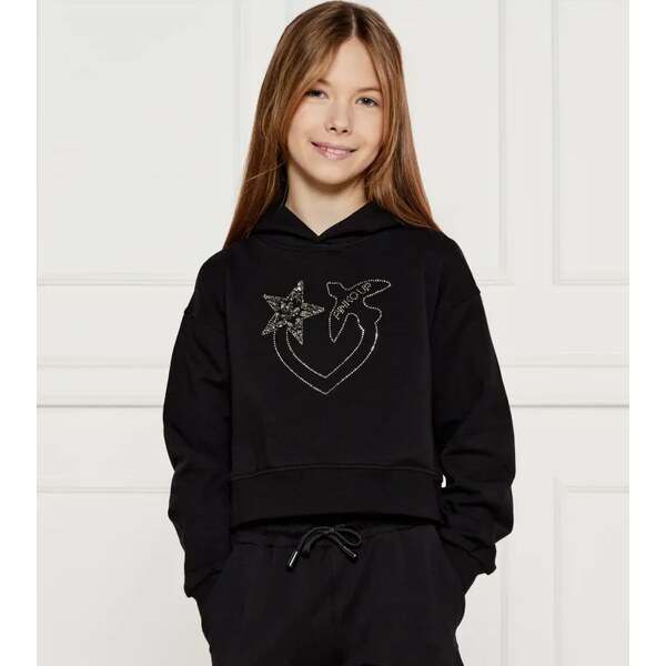 Pinko UP Mikina | Regular Fit 59521747